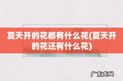 夏天开的花还有什么花 夏天开的花都有什么花