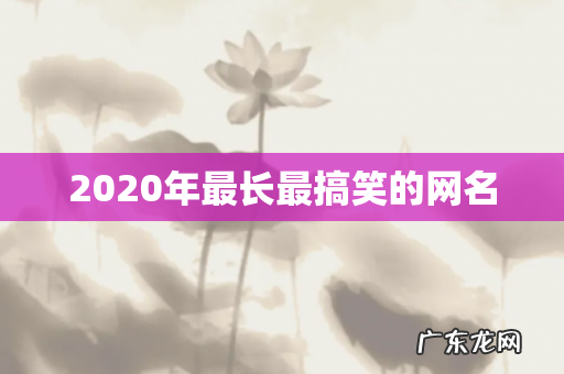 2020年最长最搞笑的网名