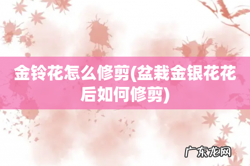 盆栽金银花花后如何修剪 金铃花怎么修剪