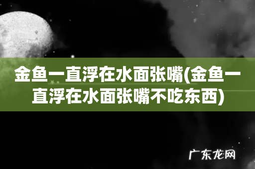 金鱼一直浮在水面张嘴不吃东西 金鱼一直浮在水面张嘴