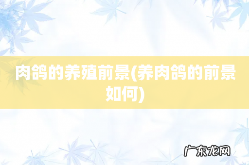 养肉鸽的前景如何 肉鸽的养殖前景