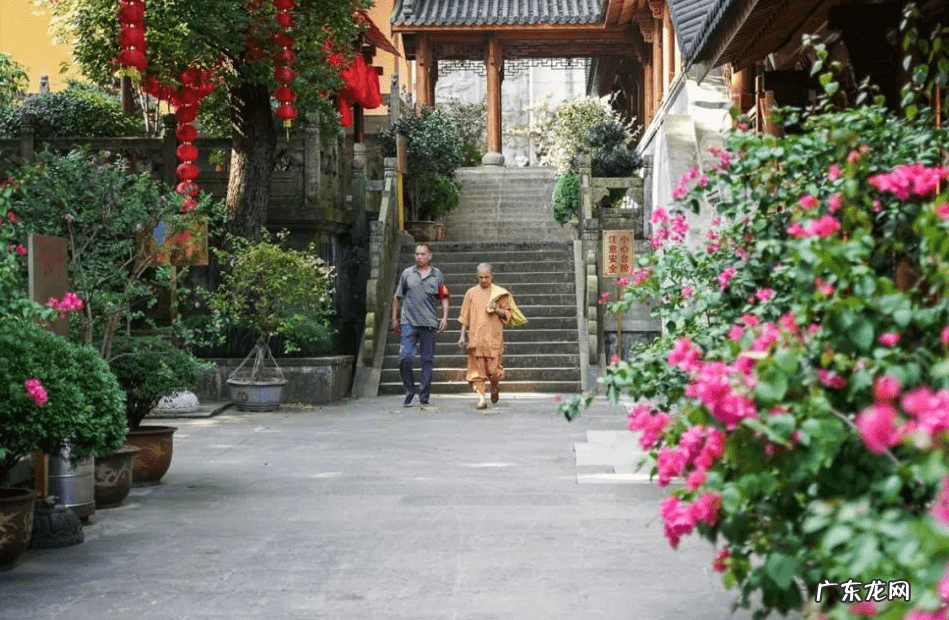 慈寺怎么读 杭州慈净寺