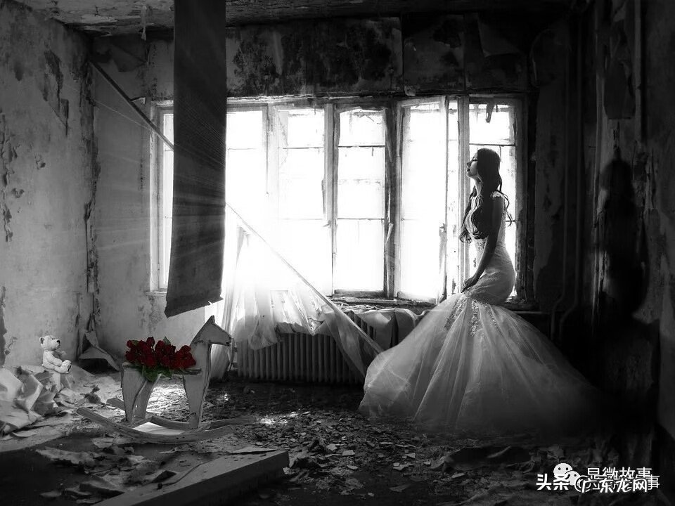 香港老字号罗盘 香港老字号风水综合罗盘