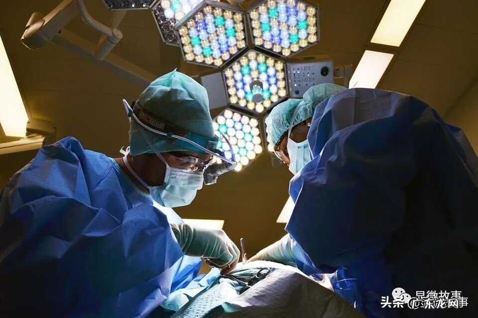 香港老字号罗盘 香港老字号风水综合罗盘