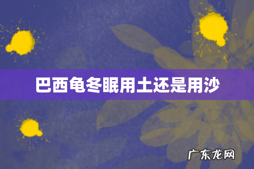 巴西龟冬眠用土还是用沙