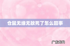 仓鼠无缘无故死了怎么回事