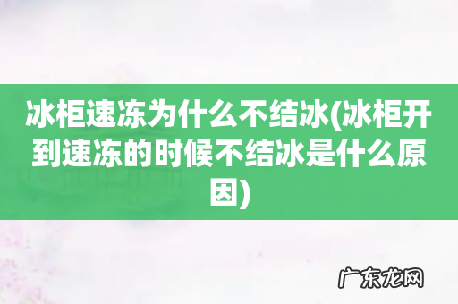 冰柜开到速冻的时候不结冰是什么原因 冰柜速冻为什么不结冰