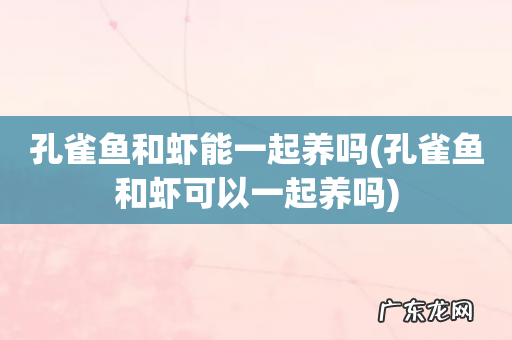 孔雀鱼和虾可以一起养吗 孔雀鱼和虾能一起养吗