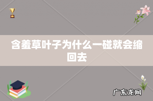 含羞草叶子为什么一碰就会缩回去