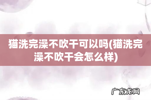 猫洗完澡不吹干会怎么样 猫洗完澡不吹干可以吗
