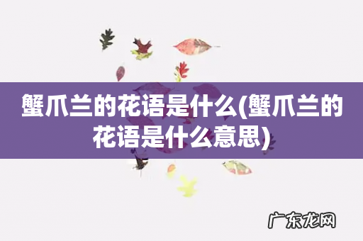 蟹爪兰的花语是什么意思 蟹爪兰的花语是什么