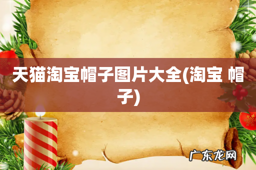 淘宝 帽子 天猫淘宝帽子图片大全