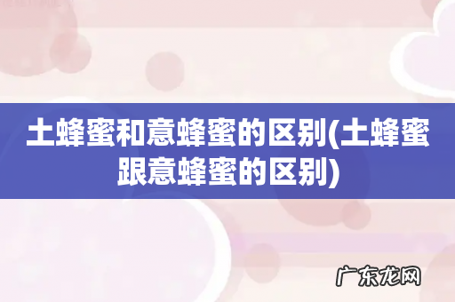 土蜂蜜跟意蜂蜜的区别 土蜂蜜和意蜂蜜的区别