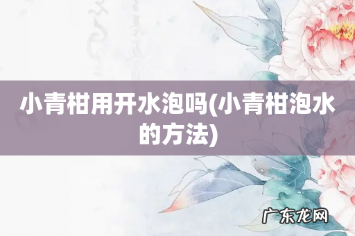 小青柑泡水的方法 小青柑用开水泡吗