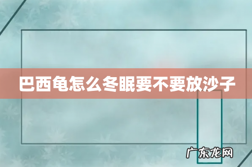 巴西龟怎么冬眠要不要放沙子