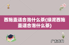 绿泥西施壶适合泡什么茶 西施壶适合泡什么茶