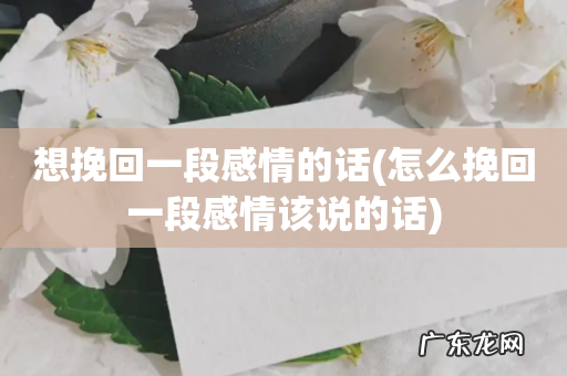 怎么挽回一段感情该说的话 想挽回一段感情的话