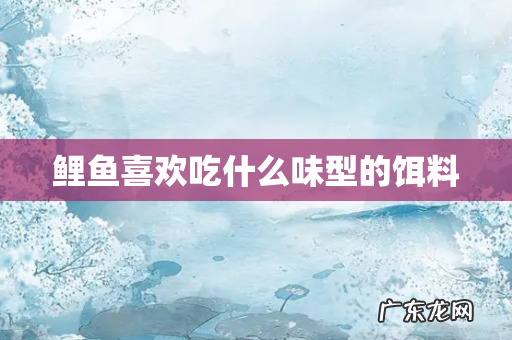 鲤鱼喜欢吃什么味型的饵料
