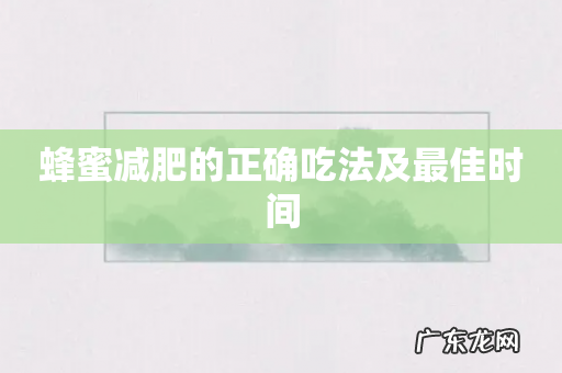 蜂蜜减肥的正确吃法及最佳时间