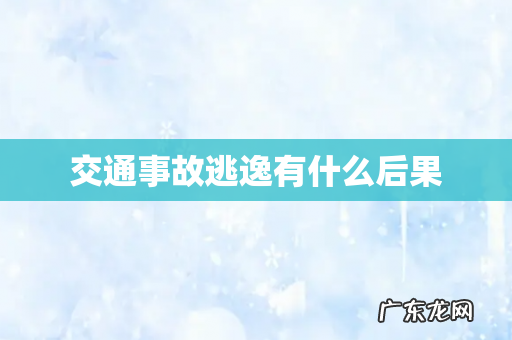 交通事故逃逸有什么后果