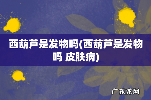 西葫芦是发物吗 皮肤病 西葫芦是发物吗