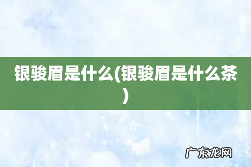 银骏眉是什么茶 银骏眉是什么