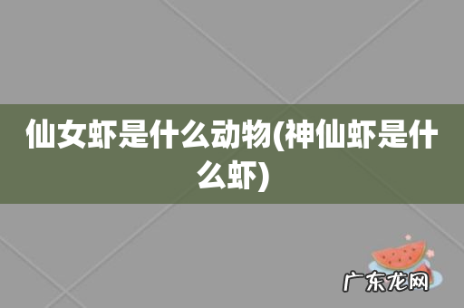 神仙虾是什么虾 仙女虾是什么动物