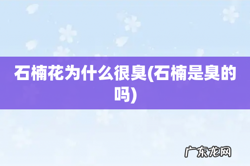 石楠是臭的吗 石楠花为什么很臭