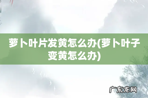 萝卜叶子变黄怎么办 萝卜叶片发黄怎么办