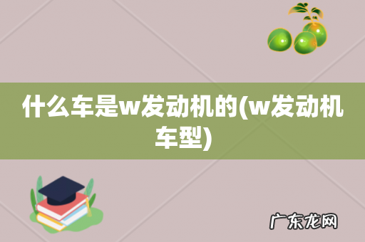 w发动机车型 什么车是w发动机的