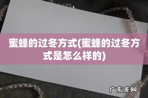 蜜蜂的过冬方式是怎么样的 蜜蜂的过冬方式