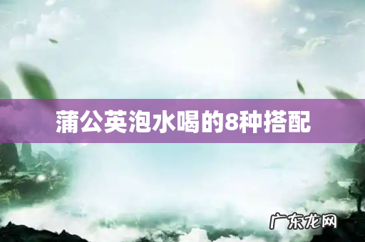 蒲公英泡水喝的8种搭配