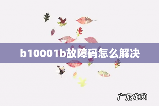 b10001b故障码怎么解决