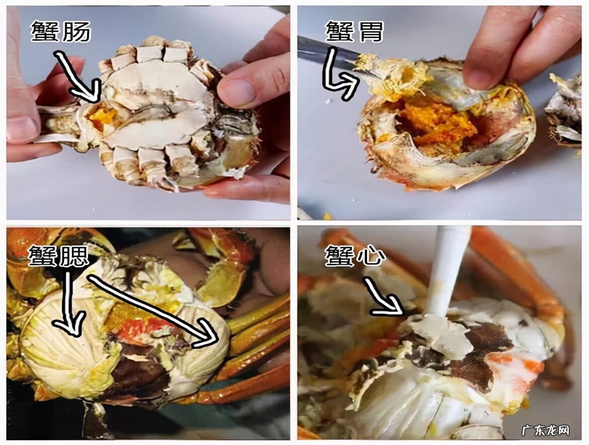 孕妇能吃螃蟹吗 孕妇可以吃螃蟹吗早期