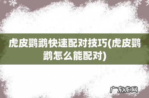 虎皮鹦鹉怎么能配对 虎皮鹦鹉快速配对技巧