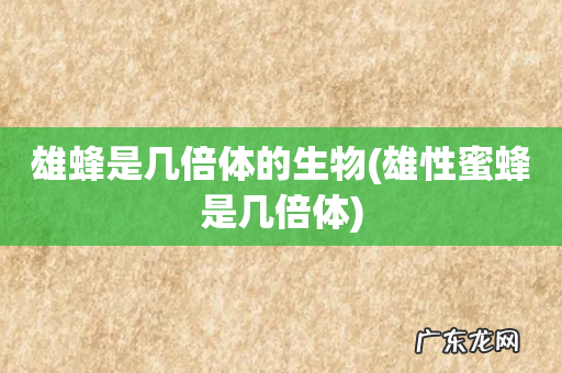 雄性蜜蜂是几倍体 雄蜂是几倍体的生物