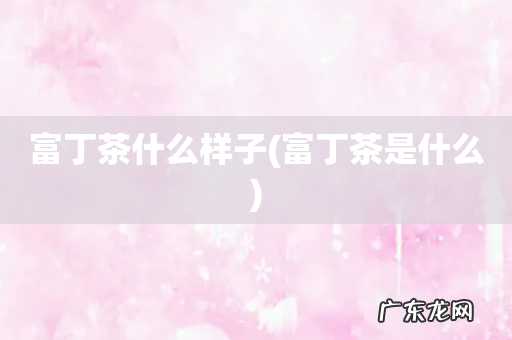 富丁茶是什么 富丁茶什么样子