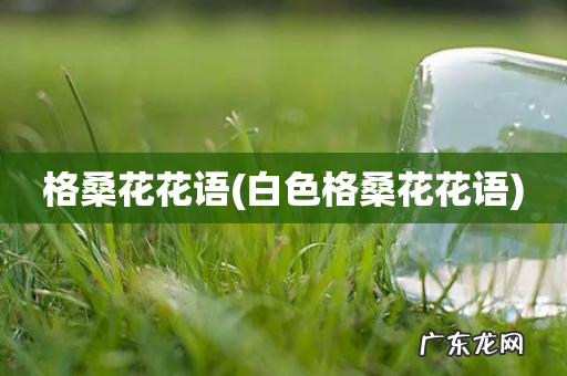 白色格桑花花语 格桑花花语