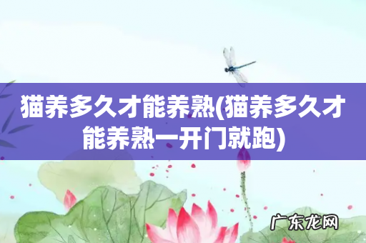 猫养多久才能养熟一开门就跑 猫养多久才能养熟