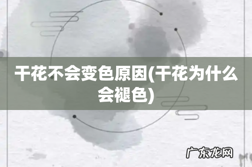 干花为什么会褪色 干花不会变色原因