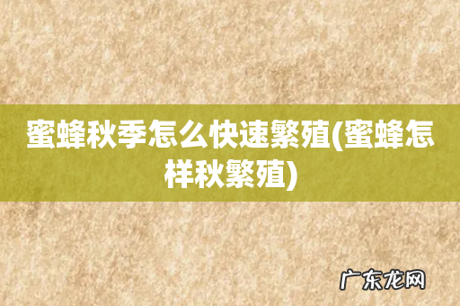 蜜蜂怎样秋繁殖 蜜蜂秋季怎么快速繁殖