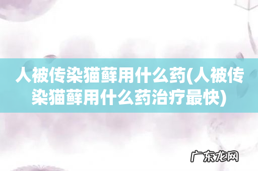 人被传染猫藓用什么药治疗最快 人被传染猫藓用什么药