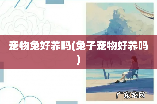 兔子宠物好养吗 宠物兔好养吗