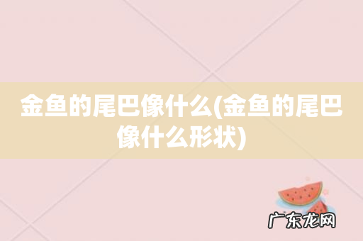 金鱼的尾巴像什么形状 金鱼的尾巴像什么