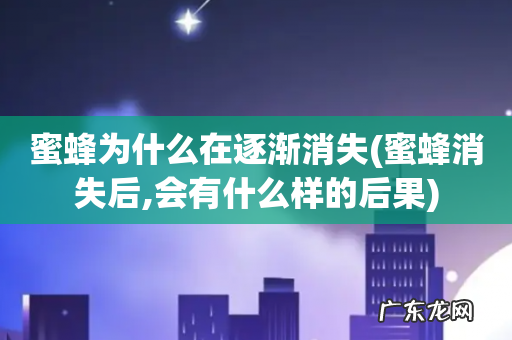 蜜蜂消失后,会有什么样的后果 蜜蜂为什么在逐渐消失