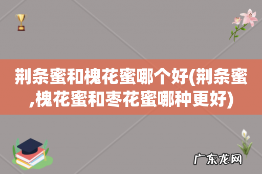 荆条蜜,槐花蜜和枣花蜜哪种更好 荆条蜜和槐花蜜哪个好