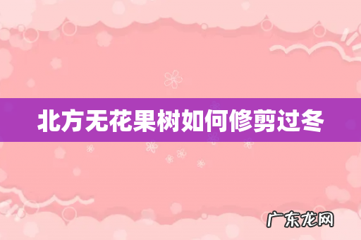 北方无花果树如何修剪过冬