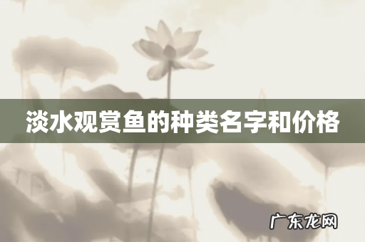 淡水观赏鱼的种类名字和价格