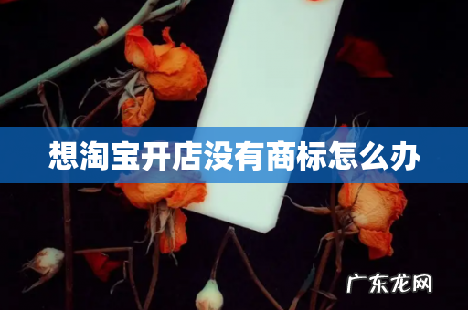 想淘宝开店没有商标怎么办