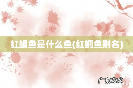 红鲷鱼别名 红鲷鱼是什么鱼